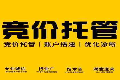 SEM代运营机构案例分析：优化策略详解